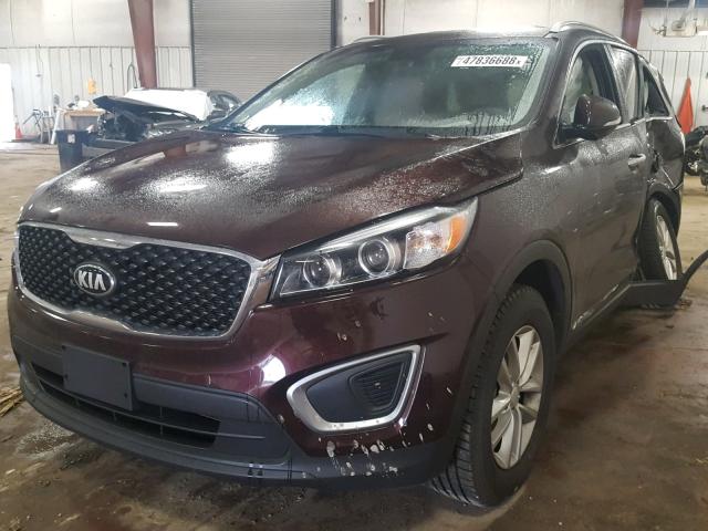 5XYPGDA55GG047671 - 2016 KIA SORENTO LX MAROON photo 2