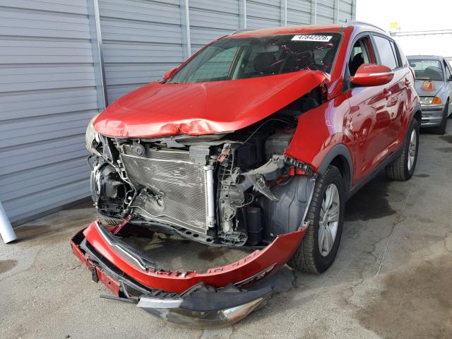 KNDPB3A29C7307219 - 2012 KIA SPORTAGE B RED photo 2