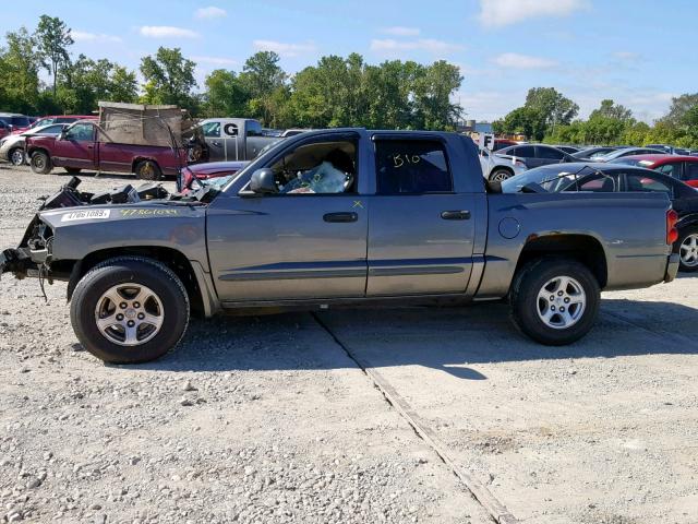 1D7HE48N65S287521 - 2005 DODGE DAKOTA QUA SILVER photo 10