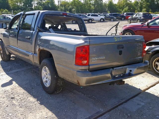 1D7HE48N65S287521 - 2005 DODGE DAKOTA QUA SILVER photo 3