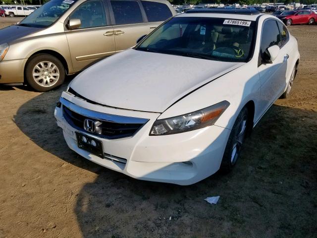 1HGCS2B81BA007284 - 2011 HONDA ACCORD EXL WHITE photo 2