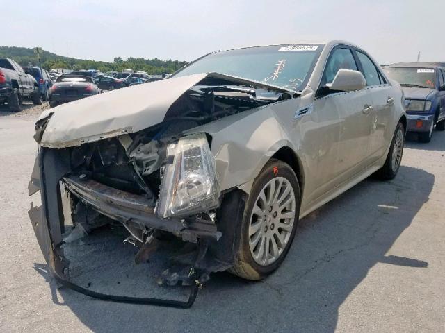 1G6DJ5EV4A0123823 - 2010 CADILLAC CTS PERFOR CREAM photo 2