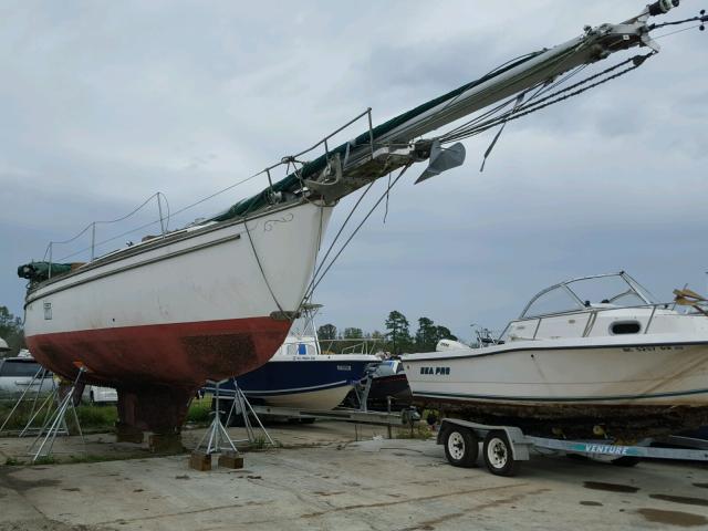 NHN43024E888 - 1988 SAIL BOAT WHITE photo 1