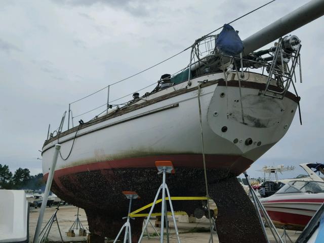 NHN43024E888 - 1988 SAIL BOAT WHITE photo 3