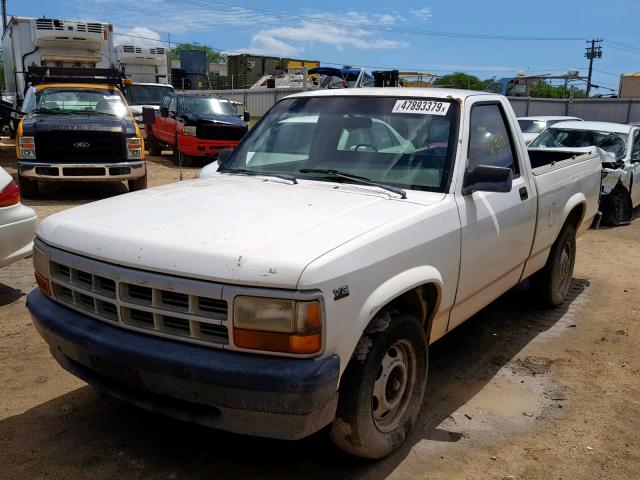 1B7FL26X2TS682518 - 1996 DODGE DAKOTA WHITE photo 2