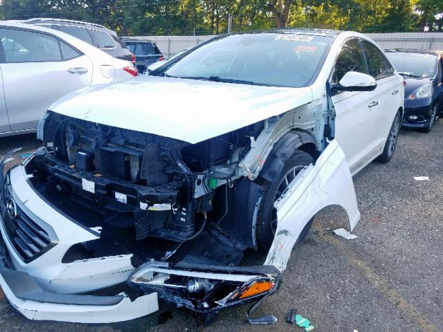 5NPE34AB1FH078402 - 2015 HYUNDAI SONATA SPO WHITE photo 2