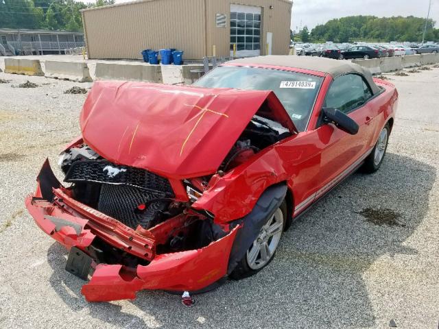 1ZVBP8EM6C5253195 - 2012 FORD MUSTANG RED photo 2