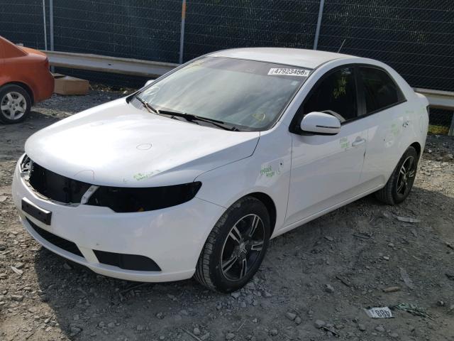 KNAFU4A28C5545244 - 2012 KIA FORTE EX WHITE photo 2