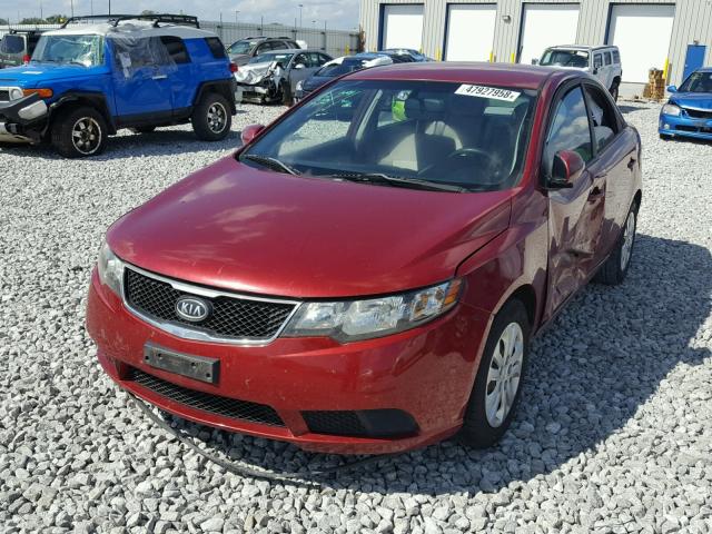 KNAFU4A26A5051560 - 2010 KIA FORTE EX RED photo 2