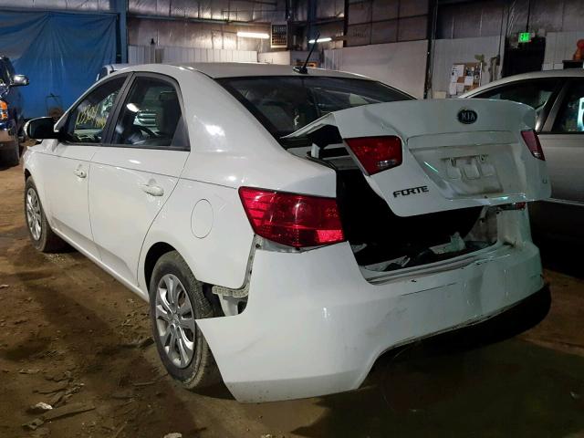 KNAFU4A24A5238599 - 2010 KIA FORTE EX WHITE photo 3