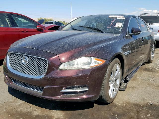 SAJWA2GB9BLV06536 - 2011 JAGUAR XJL BURGUNDY photo 2