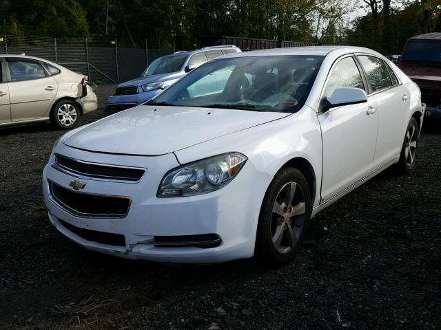 1G1ZJ57B39F245290 - 2009 CHEVROLET MALIBU 2LT WHITE photo 2