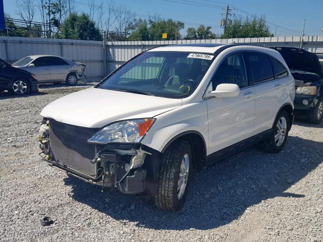 5J6RE4H75AL062974 - 2010 HONDA CR-V EXL WHITE photo 2