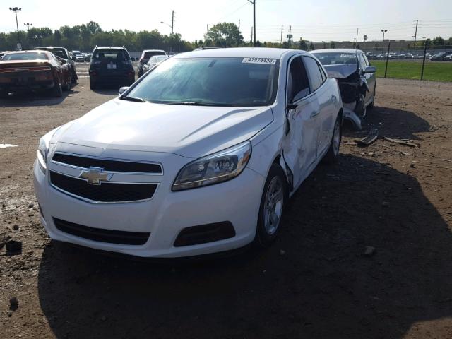 1G11B5SA7DF344888 - 2013 CHEVROLET MALIBU LS 白色 照片 2