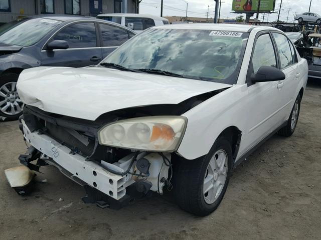 1G1ZT54895F296080 - 2005 CHEVROLET MALIBU LS 白色 照片 2