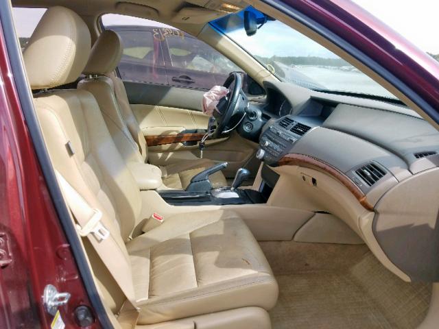 1HGCP268X9A083513 - 2009 HONDA ACCORD EXL BURGUNDY photo 5