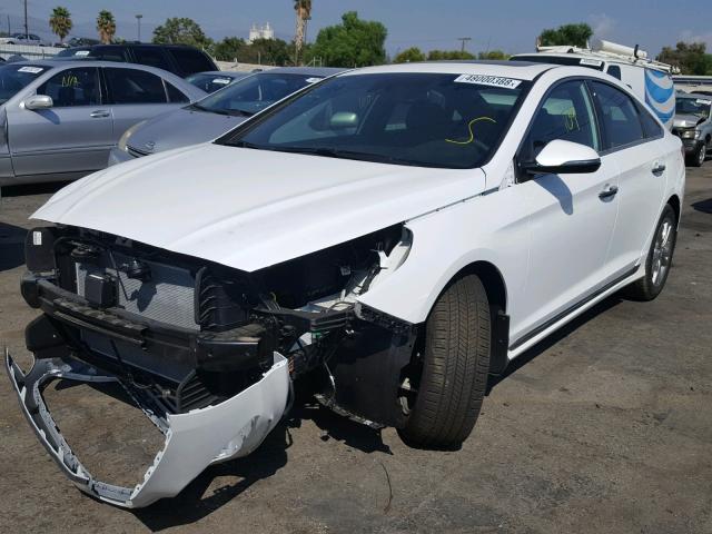 5NPE34AF3JH700493 - 2018 HYUNDAI SONATA SPO WHITE photo 2