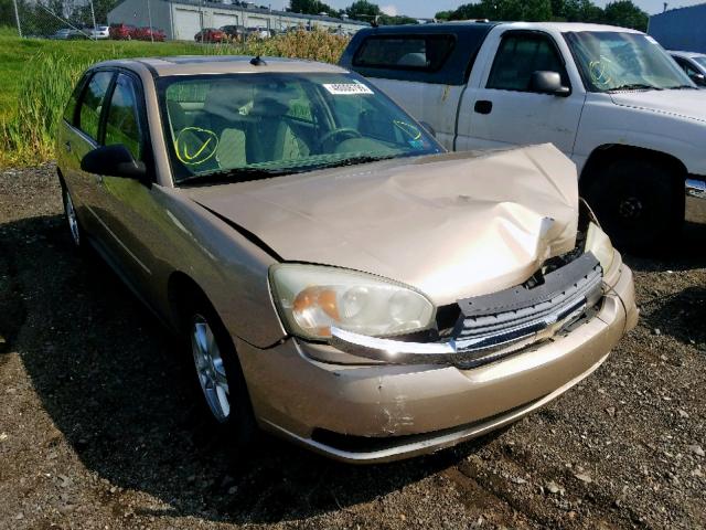 1G1ZT64884F197951 - 2004 CHEVROLET MALIBU MAX 米色 照片 1