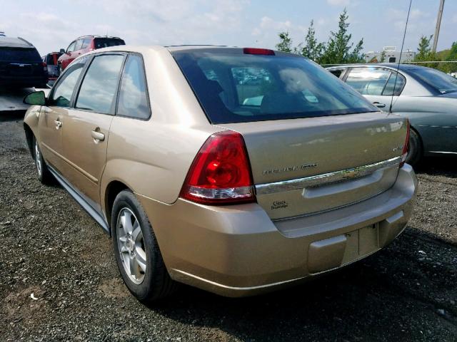 1G1ZT64884F197951 - 2004 CHEVROLET MALIBU MAX 米色 照片 3