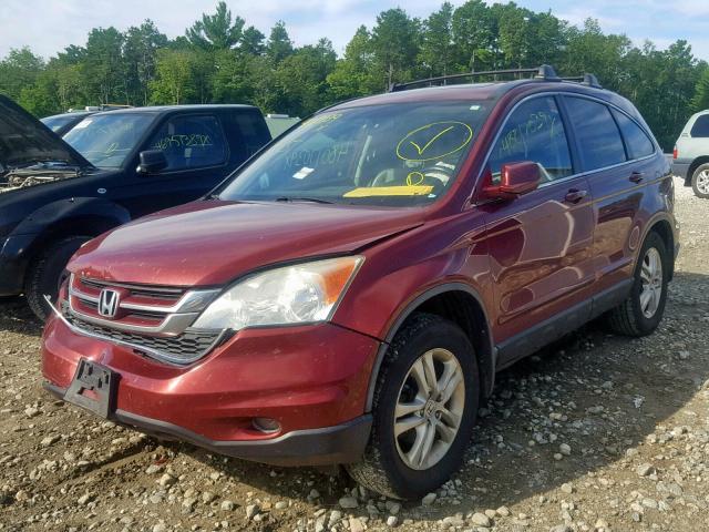 5J6RE4H73BL038691 - 2011 HONDA CR-V EXL RED photo 2