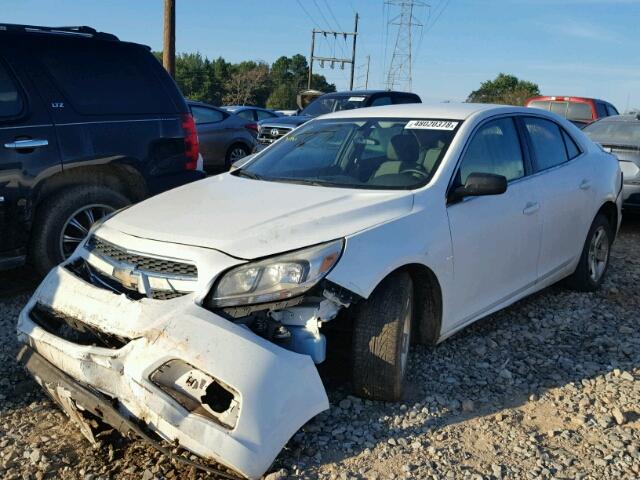 1G11B5SA1DF264034 - 2013 CHEVROLET MALIBU LS Ağ foto 2
