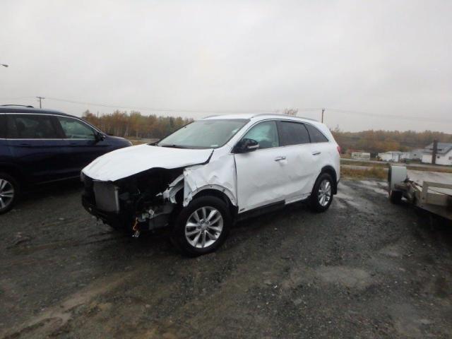 5XYPGDA30JG343526 - 2018 KIA SORENTO LX WHITE photo 2