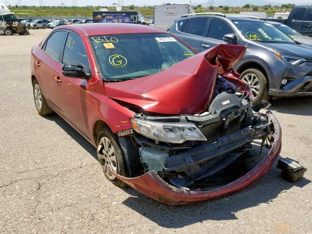 KNAFU4A29B5317493 - 2011 KIA FORTE EX RED photo 1