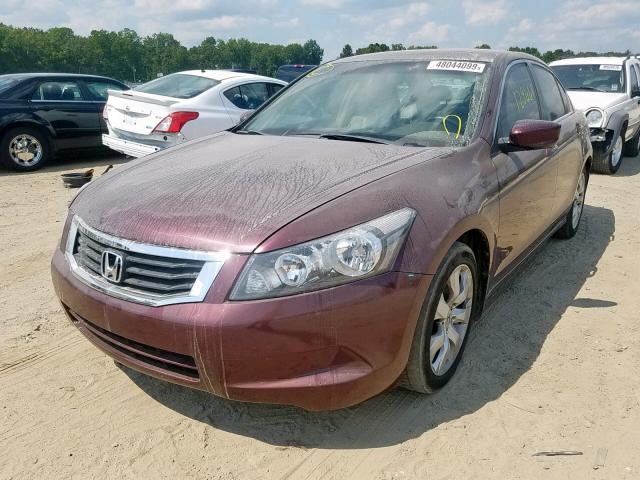 JHMCP26868C032834 - 2008 HONDA ACCORD EXL BURGUNDY photo 2