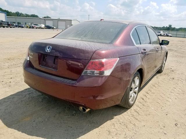 JHMCP26868C032834 - 2008 HONDA ACCORD EXL BURGUNDY photo 4