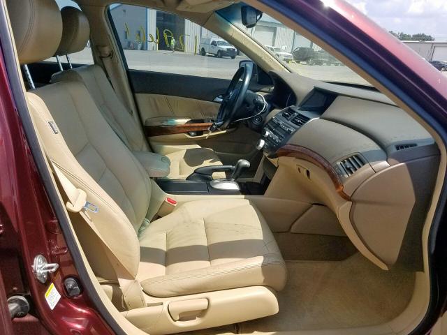 JHMCP26868C032834 - 2008 HONDA ACCORD EXL BURGUNDY photo 5