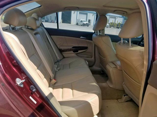 JHMCP26868C032834 - 2008 HONDA ACCORD EXL BURGUNDY photo 6