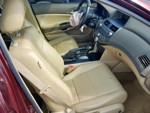 JHMCP26428C075838 - 2008 HONDA ACCORD LXP BURGUNDY photo 5