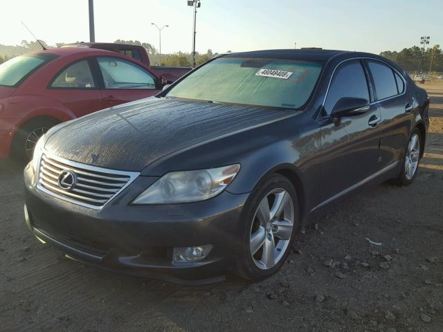 JTHBL5EFXB5105143 - 2011 LEXUS LS 460 GRAY photo 2