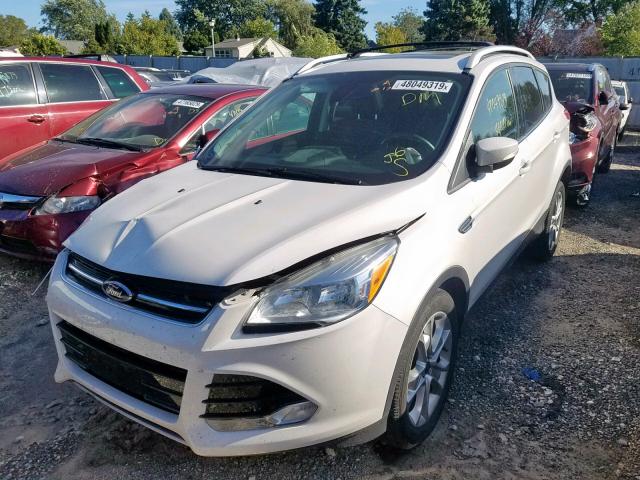 1FMCU9JX9EUD71767 - 2014 FORD ESCAPE TIT WHITE photo 2