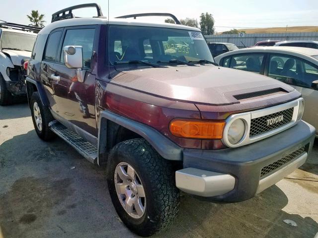 JTEBU11F670094896 - 2007 TOYOTA FJ CRUISER PURPLE photo 1