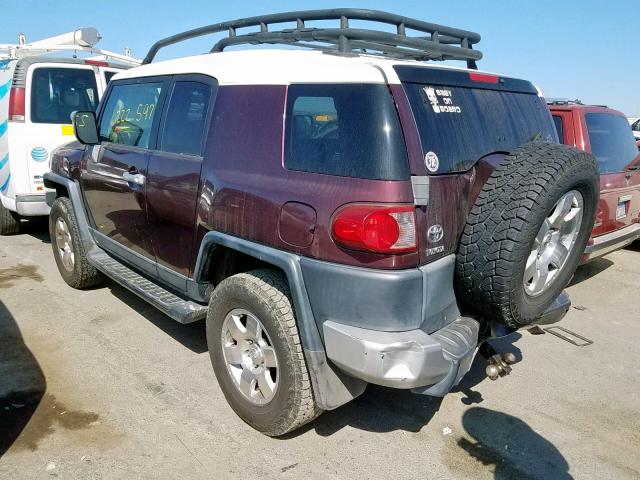 JTEBU11F670094896 - 2007 TOYOTA FJ CRUISER PURPLE photo 3