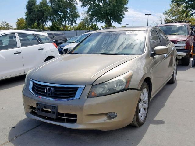 1HGCP368X9A038674 - 2009 HONDA ACCORD EXL GOLD photo 2