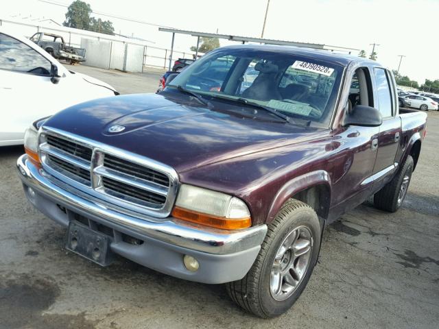 1D7HL48N74S663728 - 2004 DODGE DAKOTA QUA PURPLE photo 2