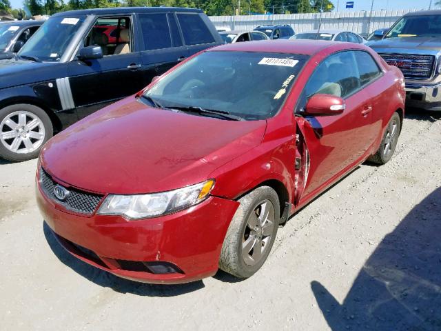 KNAFU6A27A5183786 - 2010 KIA FORTE EX RED photo 2