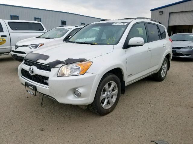 JTMDK4DV1A5084522 - 2010 TOYOTA RAV4 LIMIT WHITE photo 2