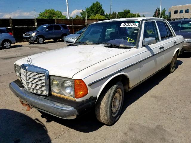 WDBAB33A30B025715 - 1983 MERCEDES-BENZ 300 DT WHITE photo 2