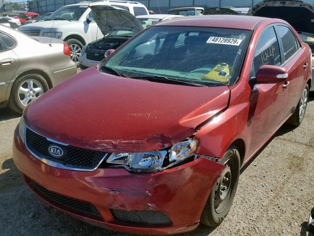 KNAFU4A21A5810907 - 2010 KIA FORTE EX RED photo 2