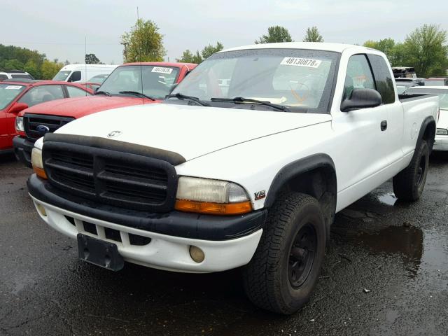 1B7GG22X3YS741260 - 2000 DODGE DAKOTA WHITE photo 2