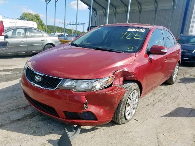 KNAFU4A20A5055622 - 2010 KIA FORTE EX RED photo 2