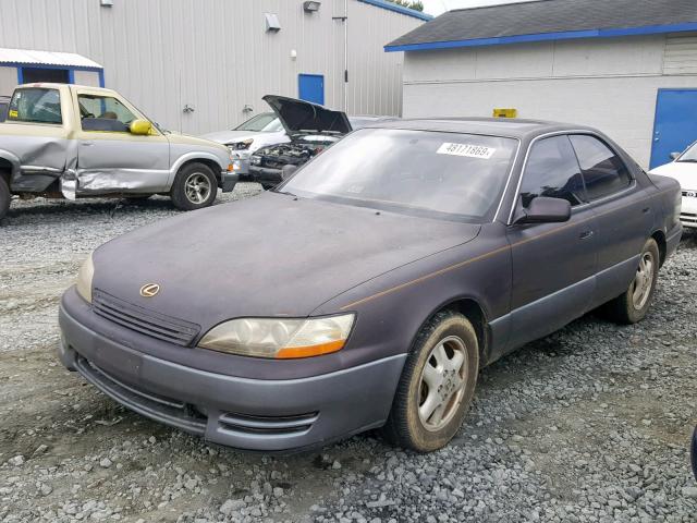 JT8BF12G1T0148359 - 1996 LEXUS ES 300 GREEN photo 2