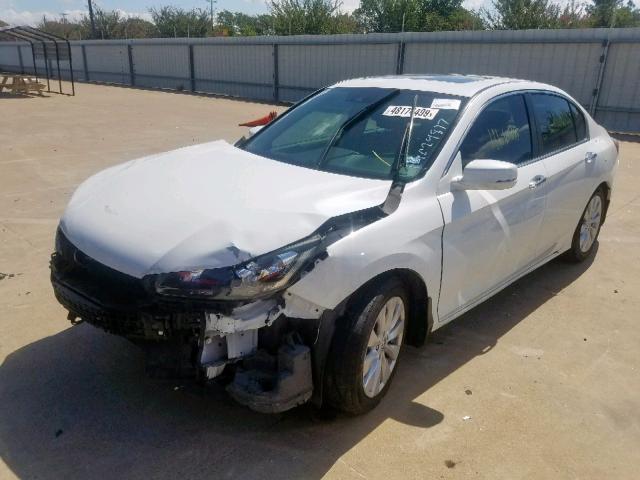 1HGCR2F82EA299294 - 2014 HONDA ACCORD EXL WHITE photo 2