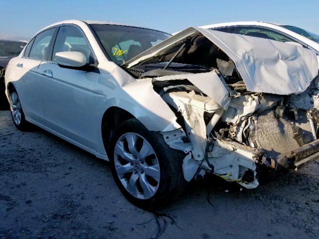 5KBCP3F80AB001631 - 2010 HONDA ACCORD EXL WHITE photo 1