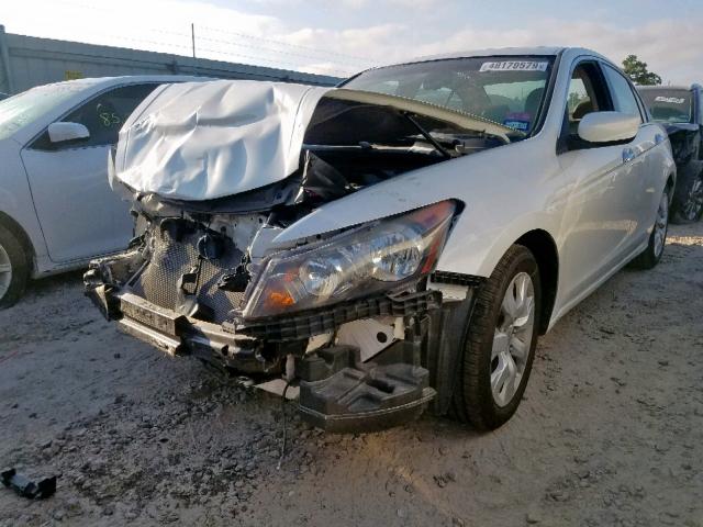 5KBCP3F80AB001631 - 2010 HONDA ACCORD EXL WHITE photo 2