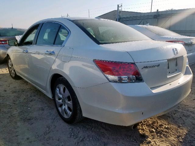 5KBCP3F80AB001631 - 2010 HONDA ACCORD EXL WHITE photo 3