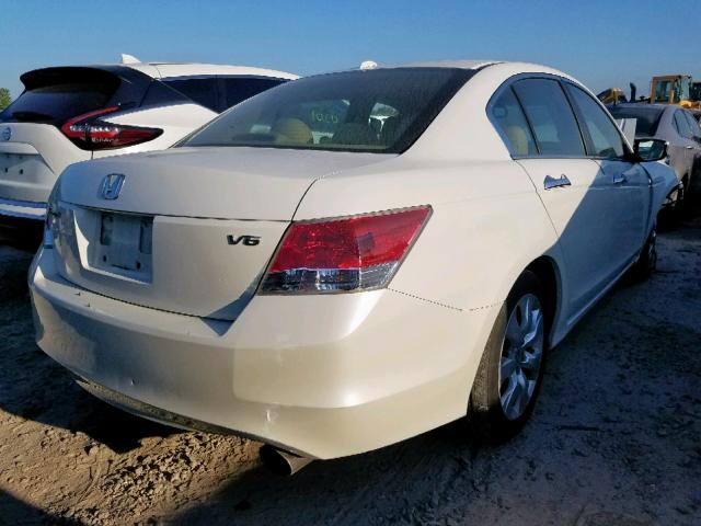 5KBCP3F80AB001631 - 2010 HONDA ACCORD EXL WHITE photo 4